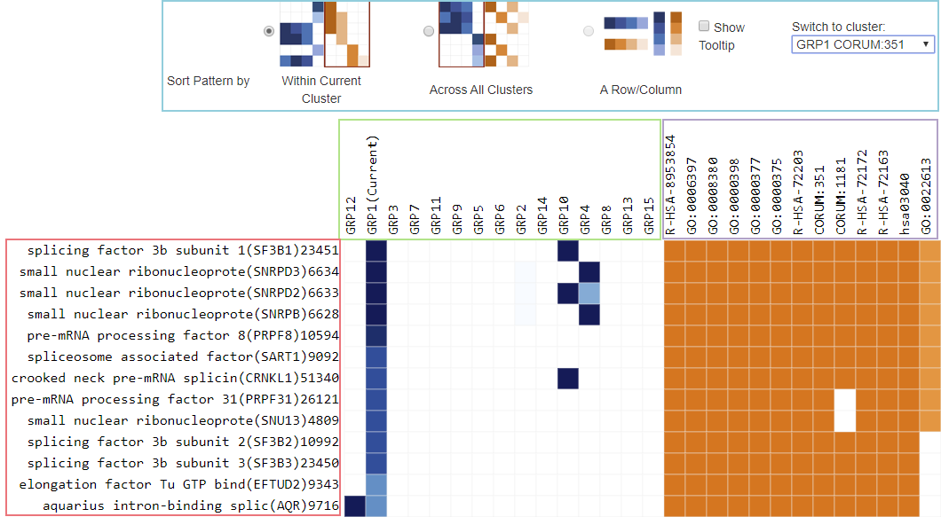 Clustergram for Enrichment Metascape Blog